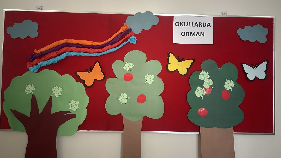 OKULLARDA ORMAN EKİM AYI ÇALIŞMALARI