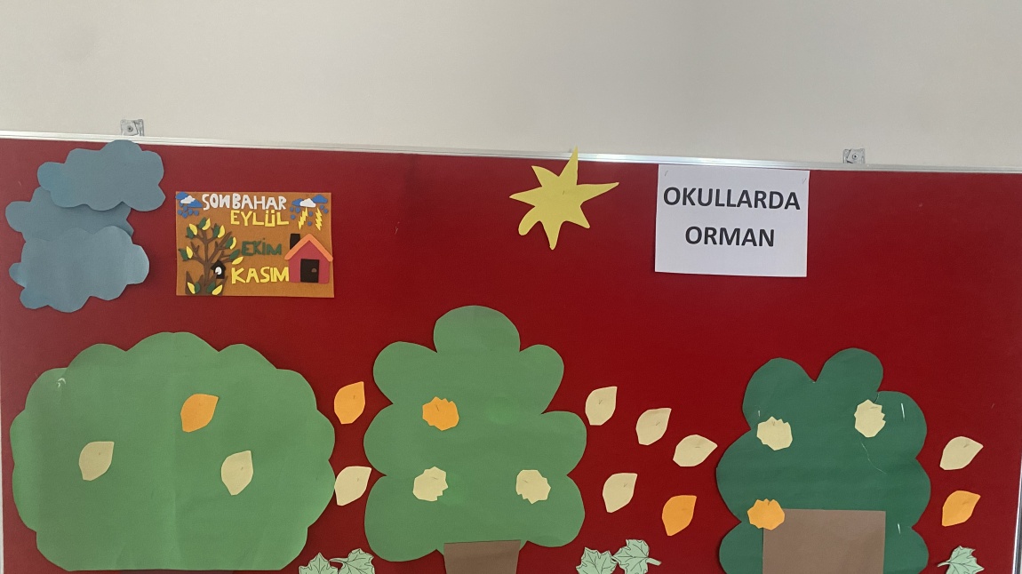 Okullarda orman Kasım ayı faaliyetleri